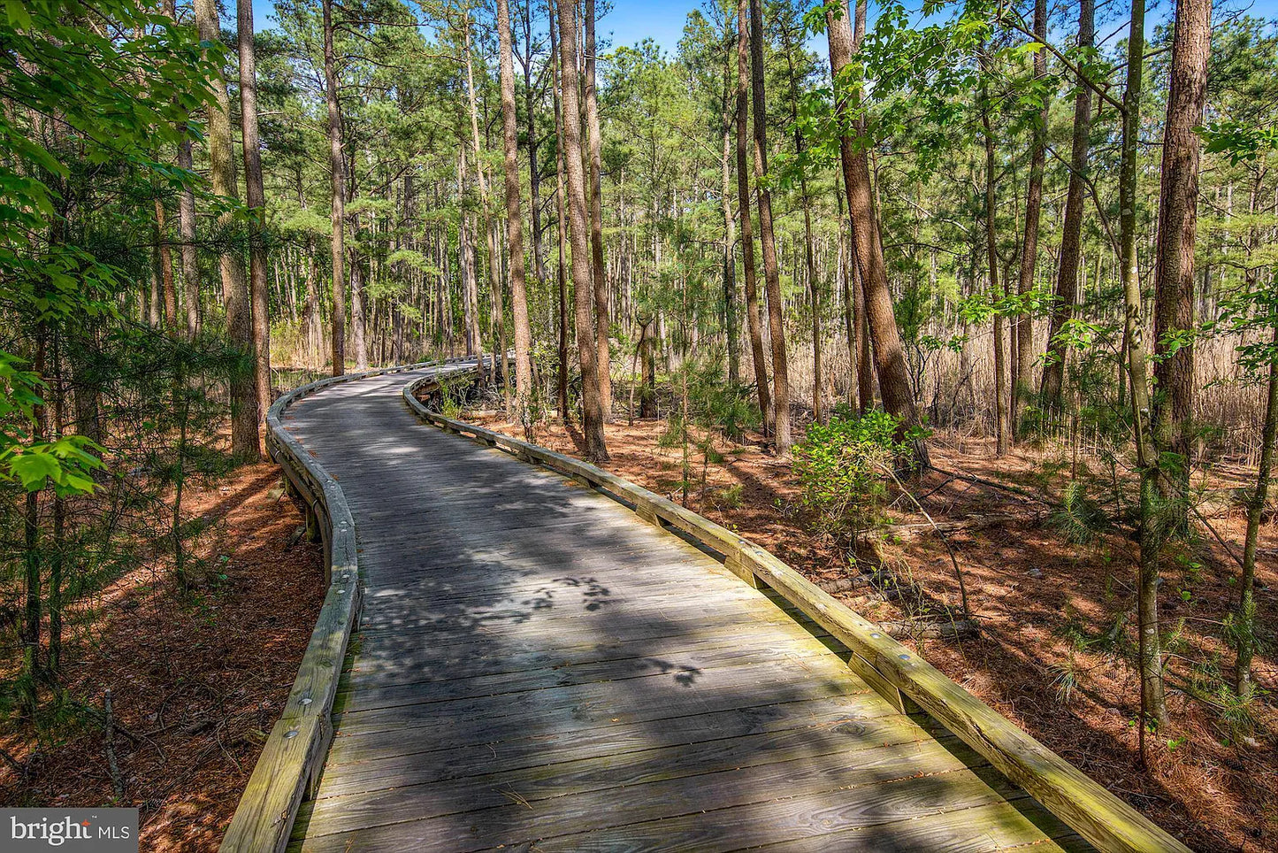 ADULT Amenities Daily Pass - age 16+ per week - provide names